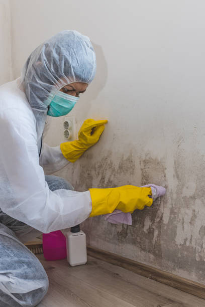 Best Commercial Mold Inspection  in Aberdeen, MD