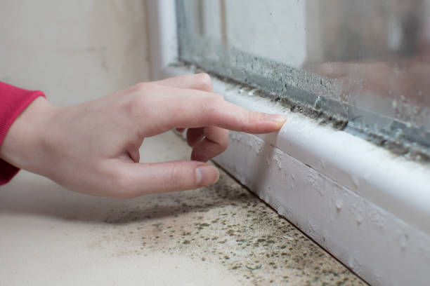 Best Residential Mold Inspection & Testing  in Aberdeen, MD