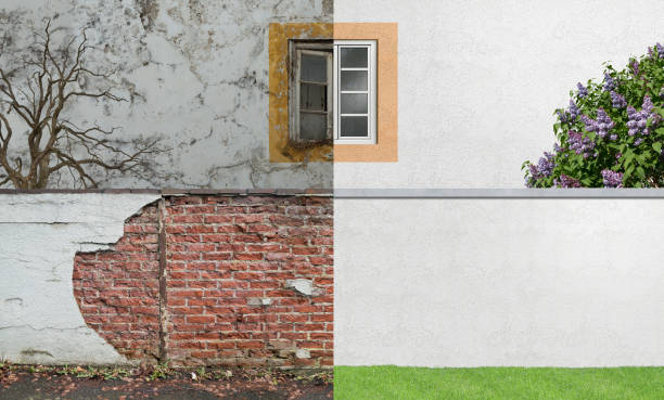 Best Commercial Mold Inspection  in Aberdeen, MD