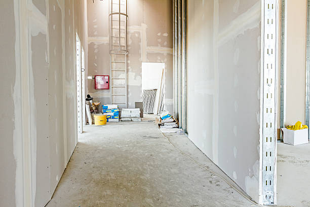 Best Water Damage & Mold Remediation  in Aberdeen, MD