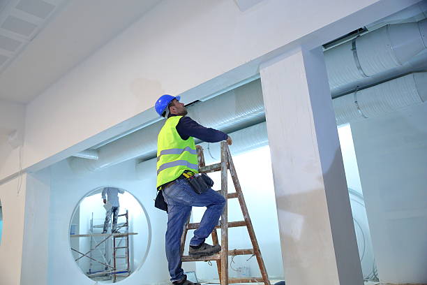 Professional Mold Removal in Aberdeen, MD